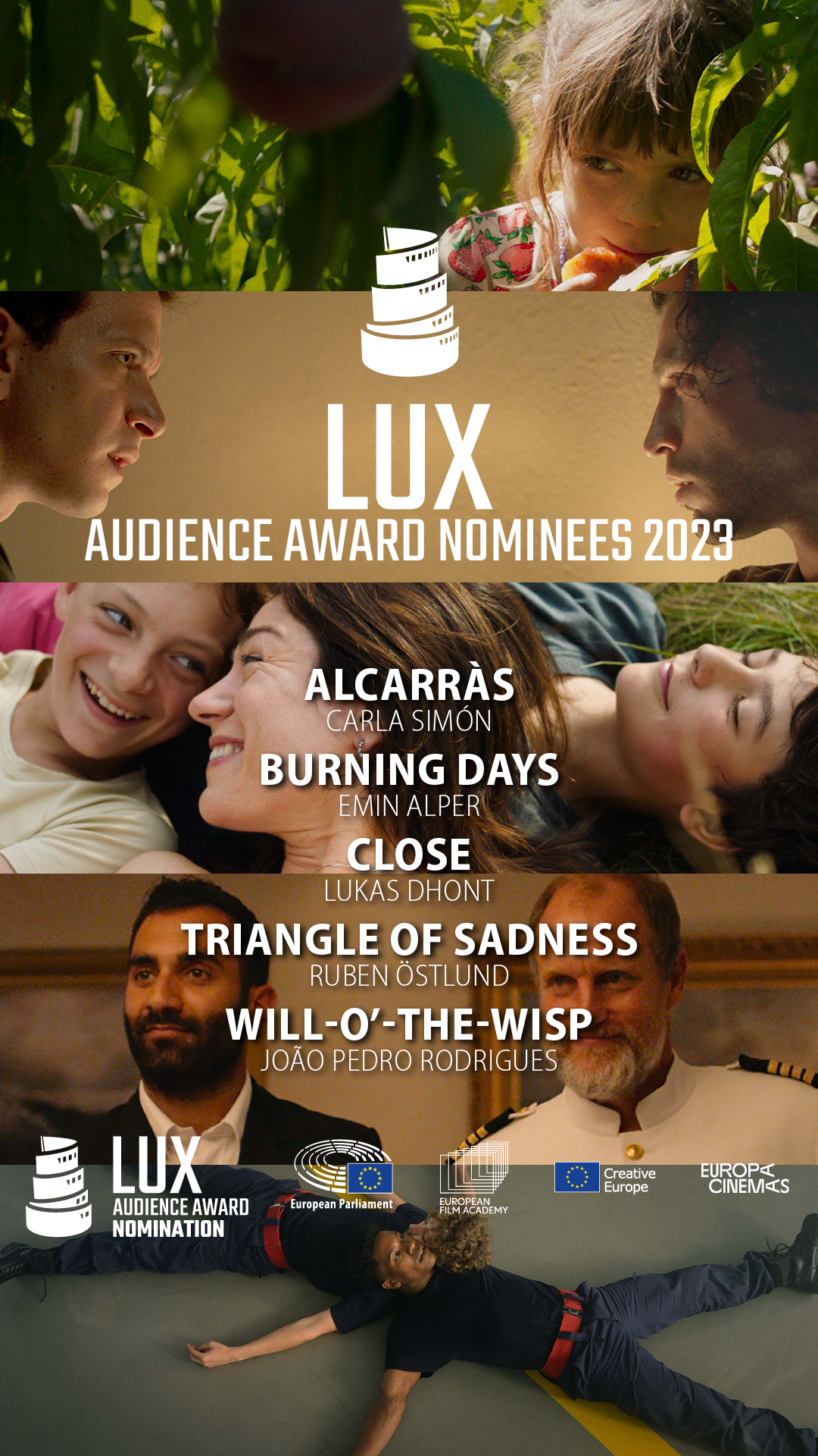 SM Story format LUX Audience Award